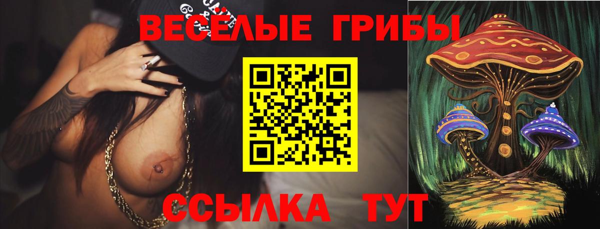 Конаково  Галлюциногенные грибы Psilocybe  Псилоцибиновые грибы мицелий  Вход с VPN 